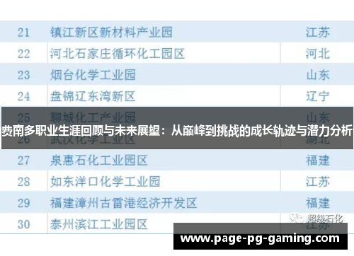 费南多职业生涯回顾与未来展望：从巅峰到挑战的成长轨迹与潜力分析