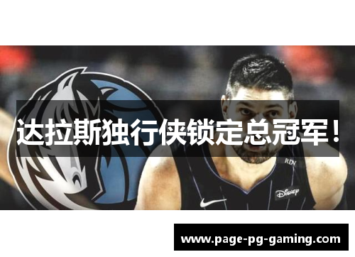 达拉斯独行侠锁定总冠军! 达拉斯独行侠锁定总冠军!